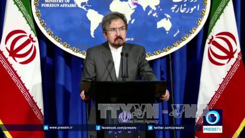 Iran phản đối thành lập lực lượng an ninh do Mỹ hậu thuẫn ở Syria ảnh 1